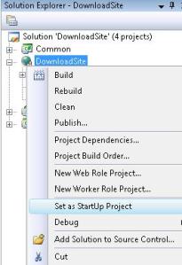 Set As Startup Project